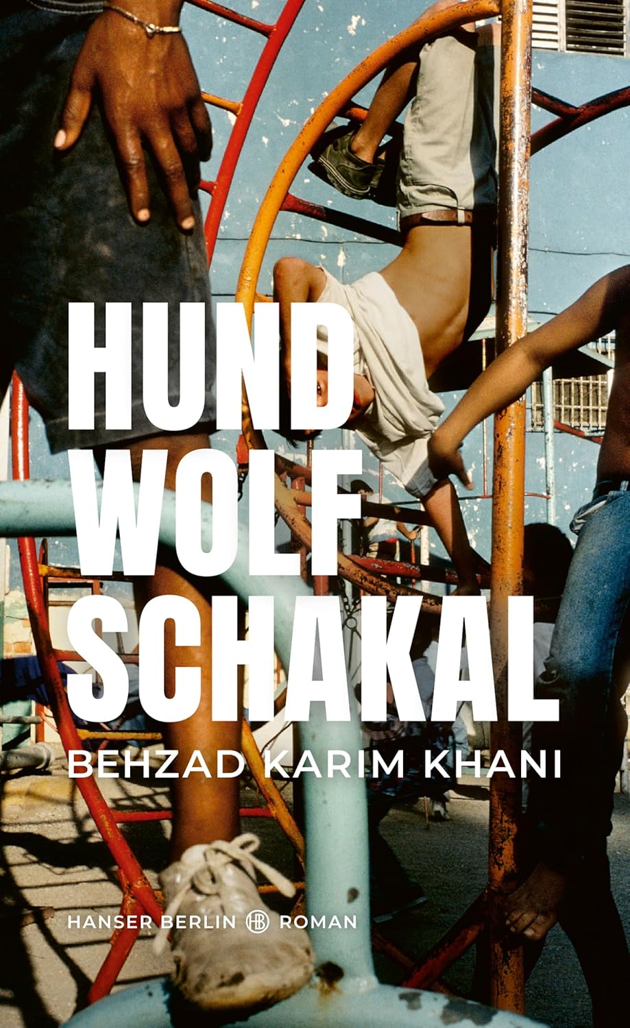 Hund Wolf Schakal