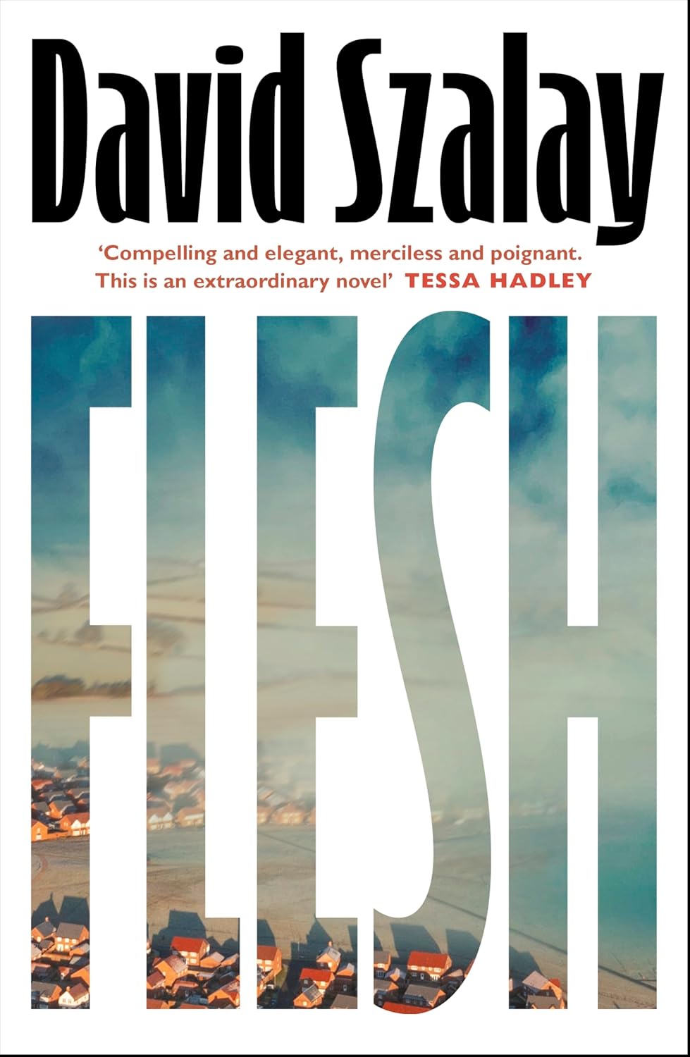 „Flesh“ von David Szalay